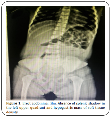 Figure 1.  